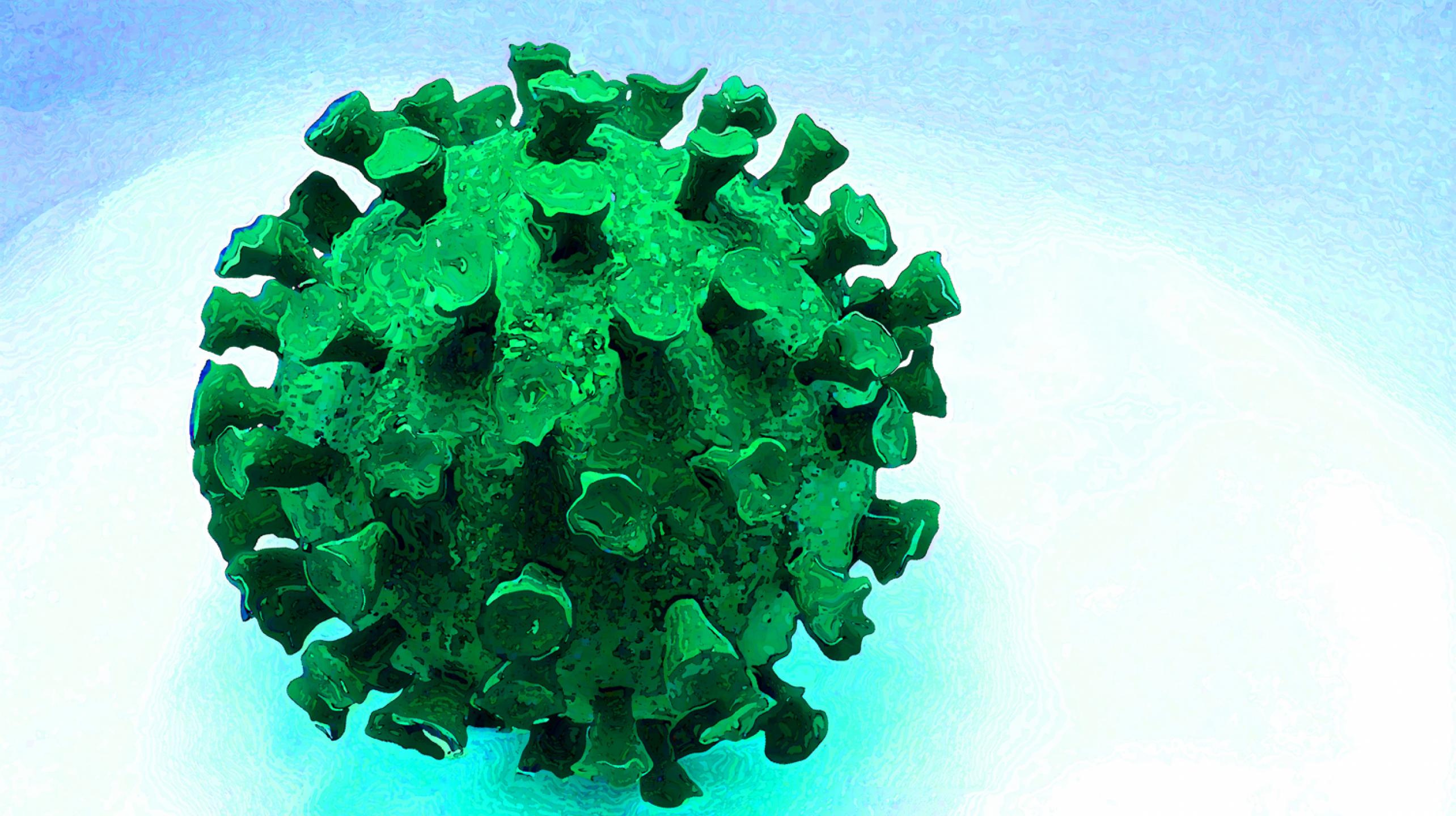 Virus