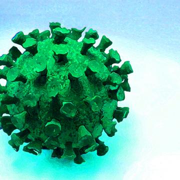 Virus